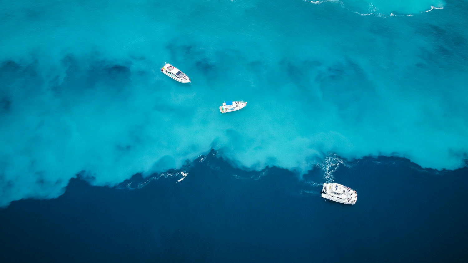 來頭城友善體驗海洋文化與美食，幸運賞鯨第一次就遇到上百隻海豚
