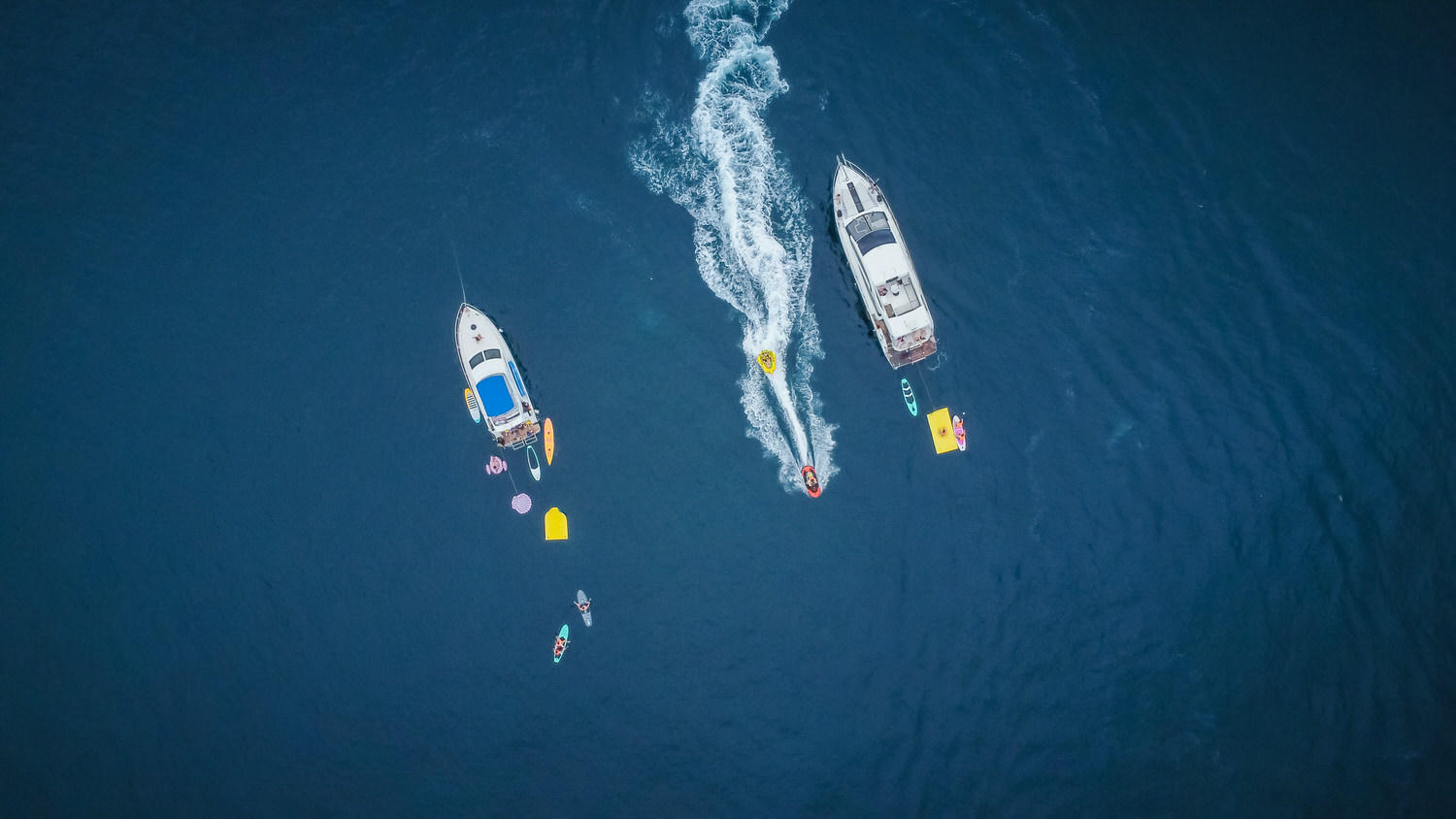 來頭城友善體驗海洋文化與美食，幸運賞鯨第一次就遇到上百隻海豚
